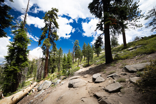 Hiking path along the scenic Sentinel Dome Trail in Yosemite National Park California
