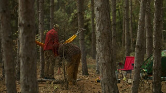 Friends arrange firewood and camping gear as men set up a campsite beside a hammock in a pine forest.
