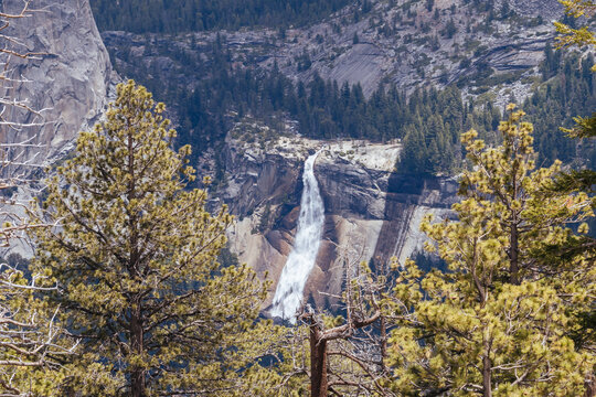 Scenic view of Nevada Fall framed by pine trees in Yosemite National Park