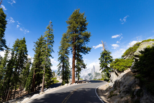 Winding Glacier Point Road through pine trees towards Half Dome in Yosemite California