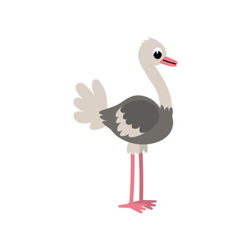 Cute cartoon ostrich for children, isolated on a white background.