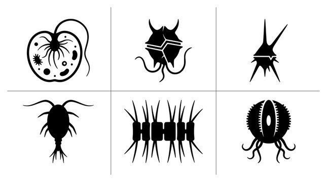 Microorganism silhouettes set with plankton, bacteria and arthropod