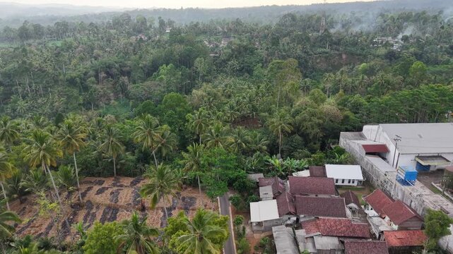 Drone panorama of tropical forest, palms, village rooftops and winding road near Tumpak Sewu in East Java
