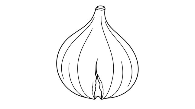 Plump ripe sweet fig fruit showing longitudinal surface contours with a short stem and split open ostiole base, drawn as an organic botanical vector icon for healthy nutrition and farming