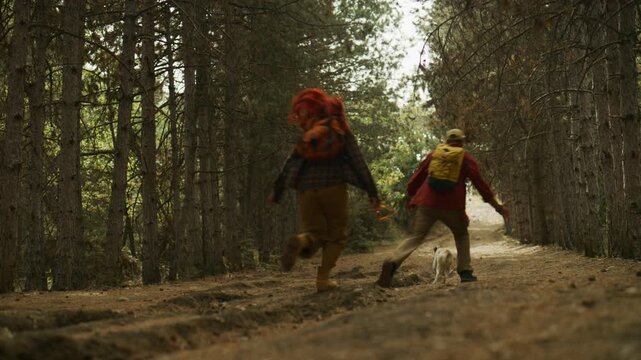Couple hikes and plays with their dog along a pine forest trail, running together through nature with backpacks.
