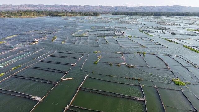 Stunning aerial view of aquaculture ponds featuring floating fish cages, showcasing the harmony between nature and sustainable farming practices at Waduk Karangkates
