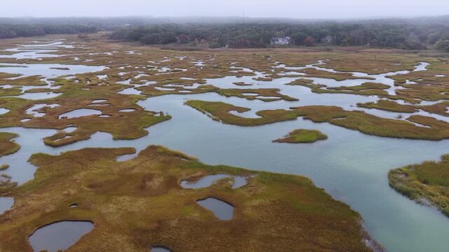 Low clouds drift over a beautiful salt marsh growing in Orleans, Massachusetts. Salt marshes are an incredibly important coastal habitat used by many species of fish, birds, and shellfish.