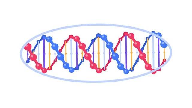 Colorful DNA Helix Molecular Structure Diagram