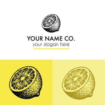 Hand drawn vintage pen and ink lemon logo in vector for new company with branding