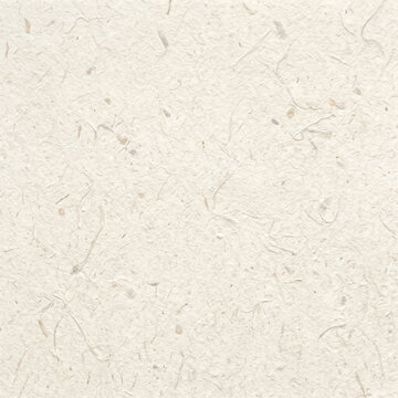 Recycled Paper Pulp Texture