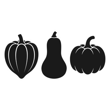 Black and white silhouette set of three different autumn squashes and pumpkins vector illustration