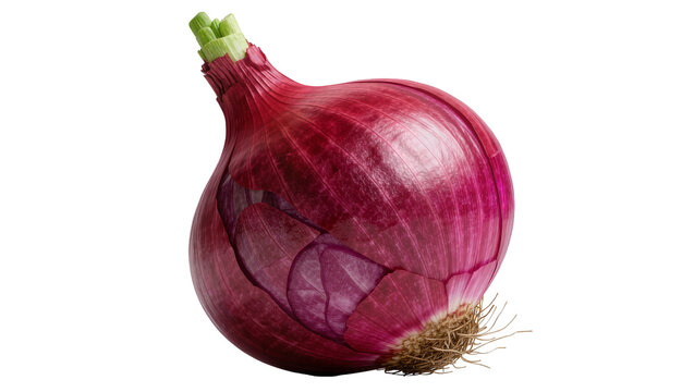 Whole red onion with green sprouts and rootlets, isolated on transparent background