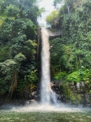  A tall waterfall cascades down a rocky cliff surrounded by lush tropical jungle greenery with landscape outdoors © David