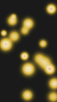 Glowing christmas bokeh lights floating on dark festive background