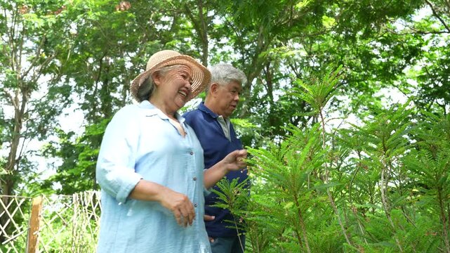 Older couple discussing and pointing at plants in a lush garden, smiling during a shared nature activity that conveys companionship, wellness and active aging.