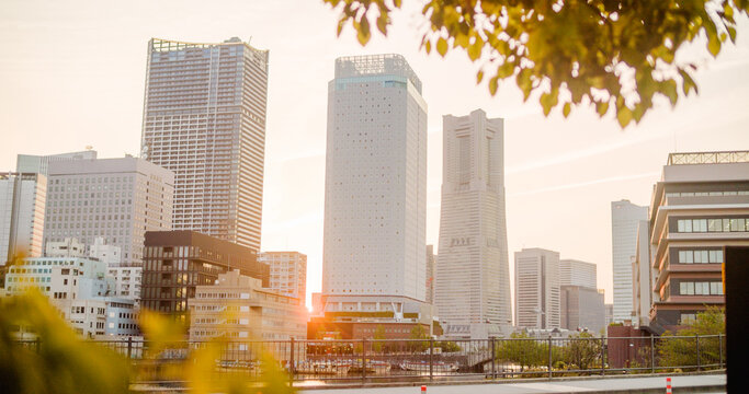 Yokohama, Japan - 22 April 2025: View of Minato Mirai skyline featuring modern skyscrapers and warm sunset light.