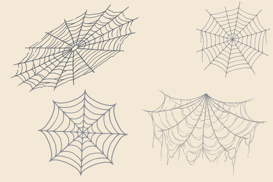 Hand Drawn Halloween Spiderweb Set with Four Distinct Cobweb Designs