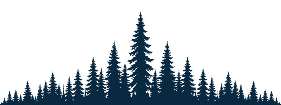 forest silhouette
