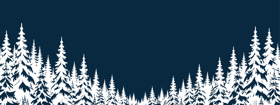 Snow covered conifers framing a winter forest valley