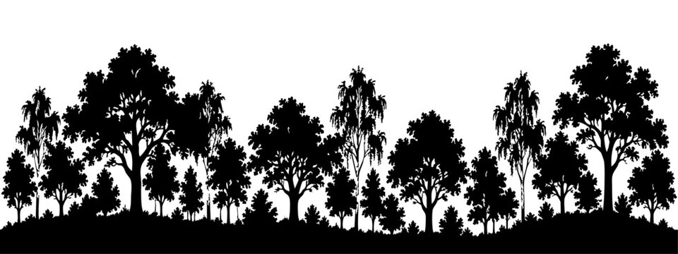 forest silhouette