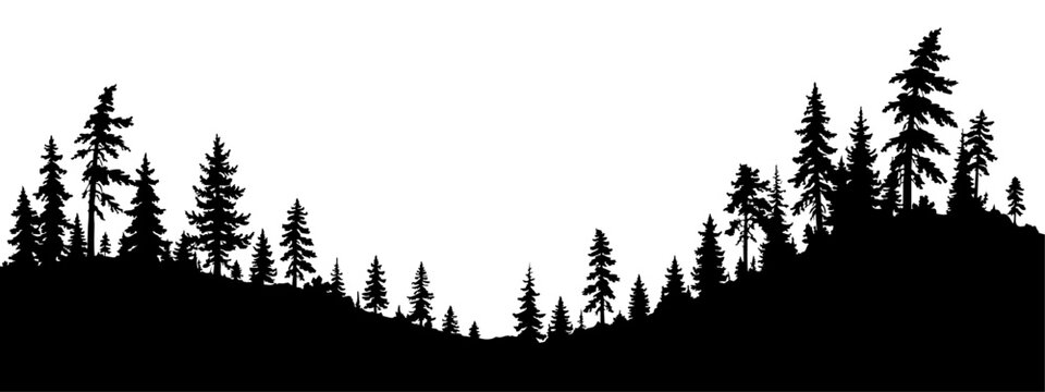 Conifer forest silhouette across hills and a valley