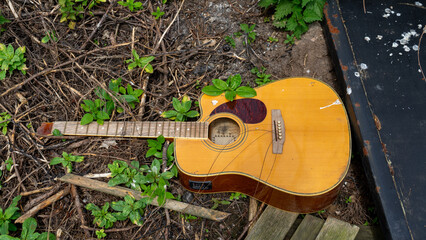 A light-colored acoustic guitar with a cutaway and a pickup, lying on the ground among branches and grass © mikus