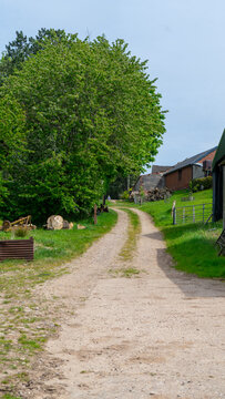 A picturesque country road winding past green fields, trees, and farm buildings, reminiscent of rural landscapes 