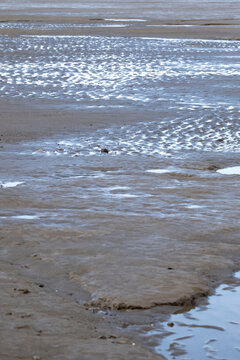 Water in the sand on a beach in Homer, Alaska