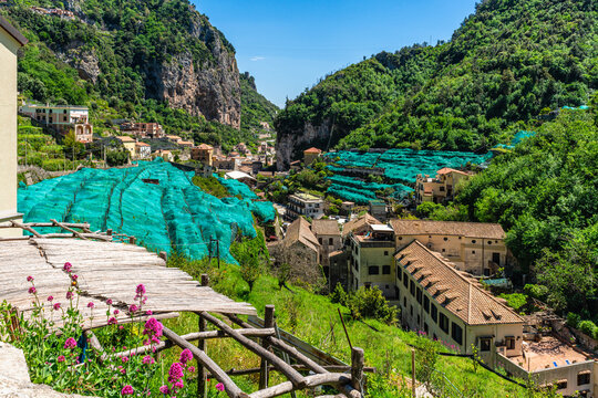 Scenic summer sight in Amalfi with lemon cultivation, Province of Salerno, Campania, Italy.
