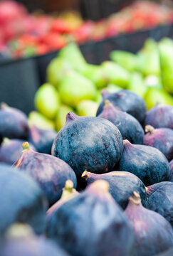 Fresh purple fig harvest display. Organic sweet fruit market pile