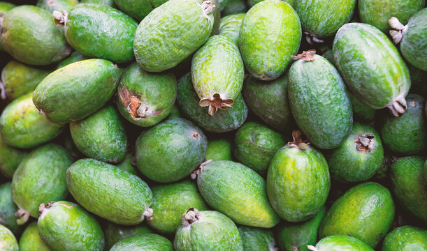 Fresh green feijoa harvest background. Organic tropical fruit pile texture