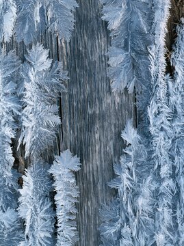 Frost crystals on a weathered grey wooden board, crisp and cold texture with needle clusters for winter backgrounds and seasonal layouts