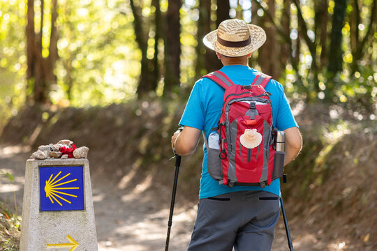 back view of pilgrim walking to santiago de compostela passing waymark in forest