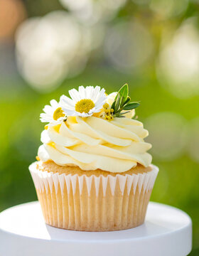 Vanilla cupcake with swirl of ivory buttercream, fresh white daisies, tiny yellow blossoms and green leaves, blurred spring garden. Tasty dessert, sweet food. Close-up.