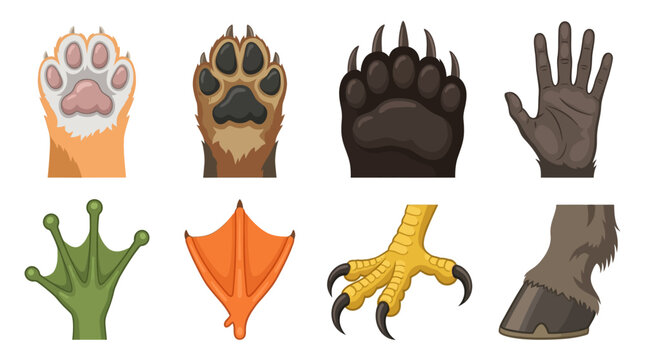 Set of various animal paws and feet icons including cat dog bear monkey frog duck bird and horse.