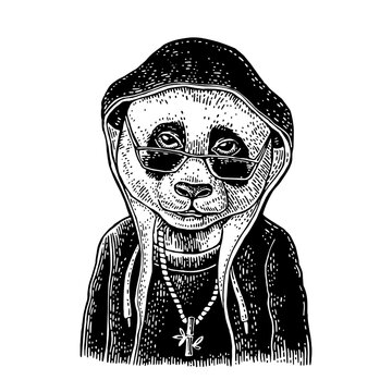Giant panda character in hoodie and sunglasses wearing bamboo necklace hand drawn engraving vintage style isolated. Black and white vector clip art illustration of cool bear monk or hip hop.