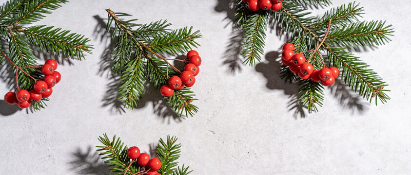 Pine branches with red berries on light concrete background with white copy space