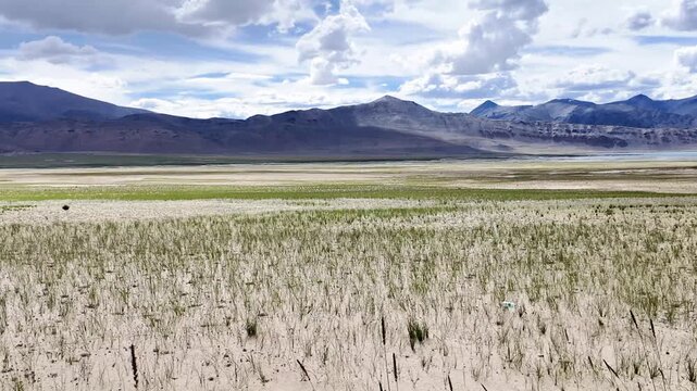 driving through the roads of Ladakh in the Indian Himalayas