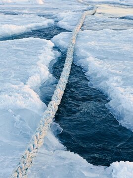 Long, thin rope that is coiled up in the middle of a body of water. the rope appears to be made of a light-colored material, possibly cotton or a similar material, and is tied in a knot at the end.