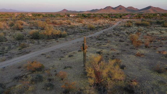 Aerial view of desert landscape with saguaro cactus at sunset