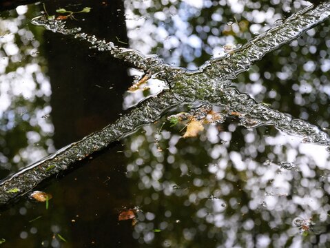Holzkreuz im Friedhofsbrunnen