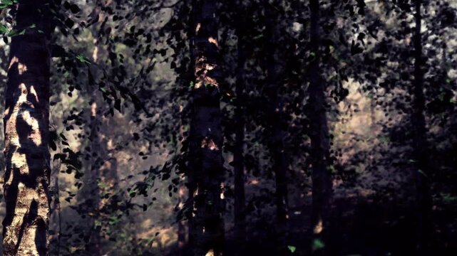Sunlight filters through leaves in a dense forest. Tall trees with bark are visible. The ground is covered with fallen leaves. The scene shows a quiet morning.