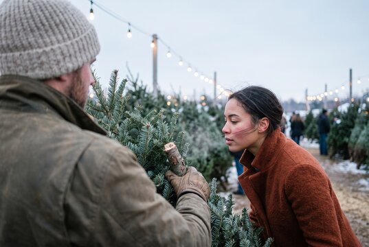 Young diverse couple shopping for a fresh evergreen pine tree at an outdoor Christmas tree farm market during the winter holiday season