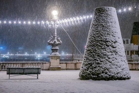 View of a snow-covered park at night with a cone-shaped topiary tree, a bench, and a decorative street lamp illuminated by string lights in Geneva, Geneva, Switzerland.