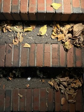 Fallen Autumn Leaves Scattered Across Outdoor Brick Steps