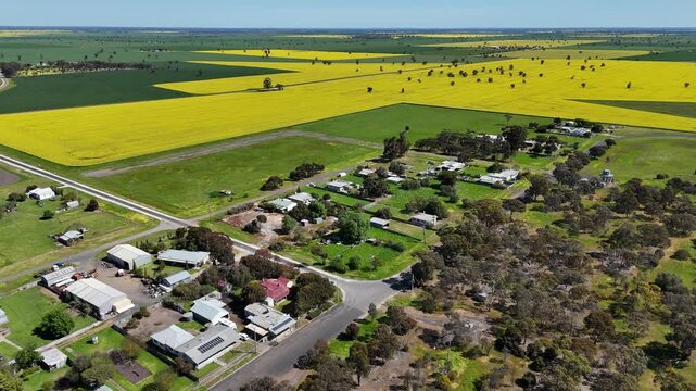 Aerial drone view of&nbsp;the regional town of Serviceton in rural Victoria, Australia, with small-town community infrastructure, village houses,&nbsp;canola crop fields across flat agricultural plains.
