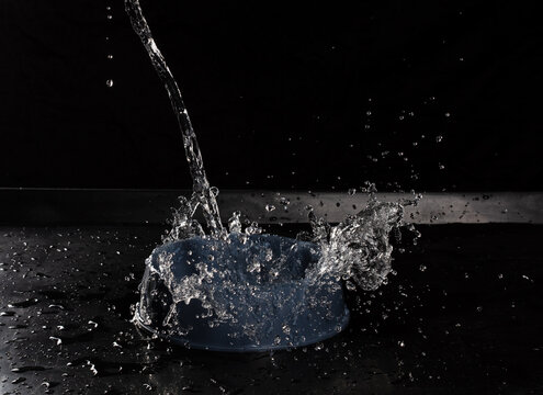 Fresh water pouring into blue dog bowl to help from thirsty. Filling water into pet bowl make splashing droplet around on air floor. Black background isolated, high speed photograph