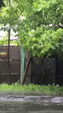 Vertical stock footage of heavy rainfall falling on backyard with trees and lush vegetation