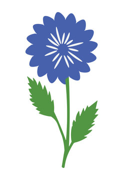 Blue flower illustration on white background for graphic design and nature projects simple floral vector art for cards and posters