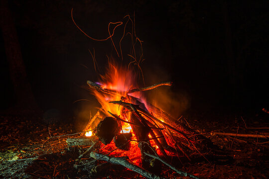 Beautiful bonfire with burning firewood in forest.